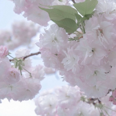 Furry绘画配色实用指南福瑞群